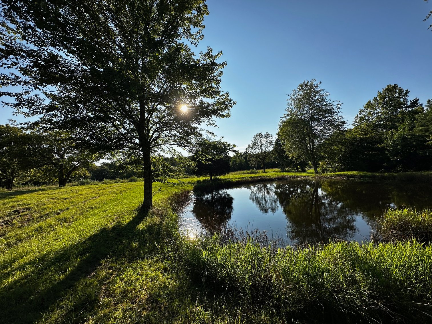 Image for 430 Bard Lane・Greenville