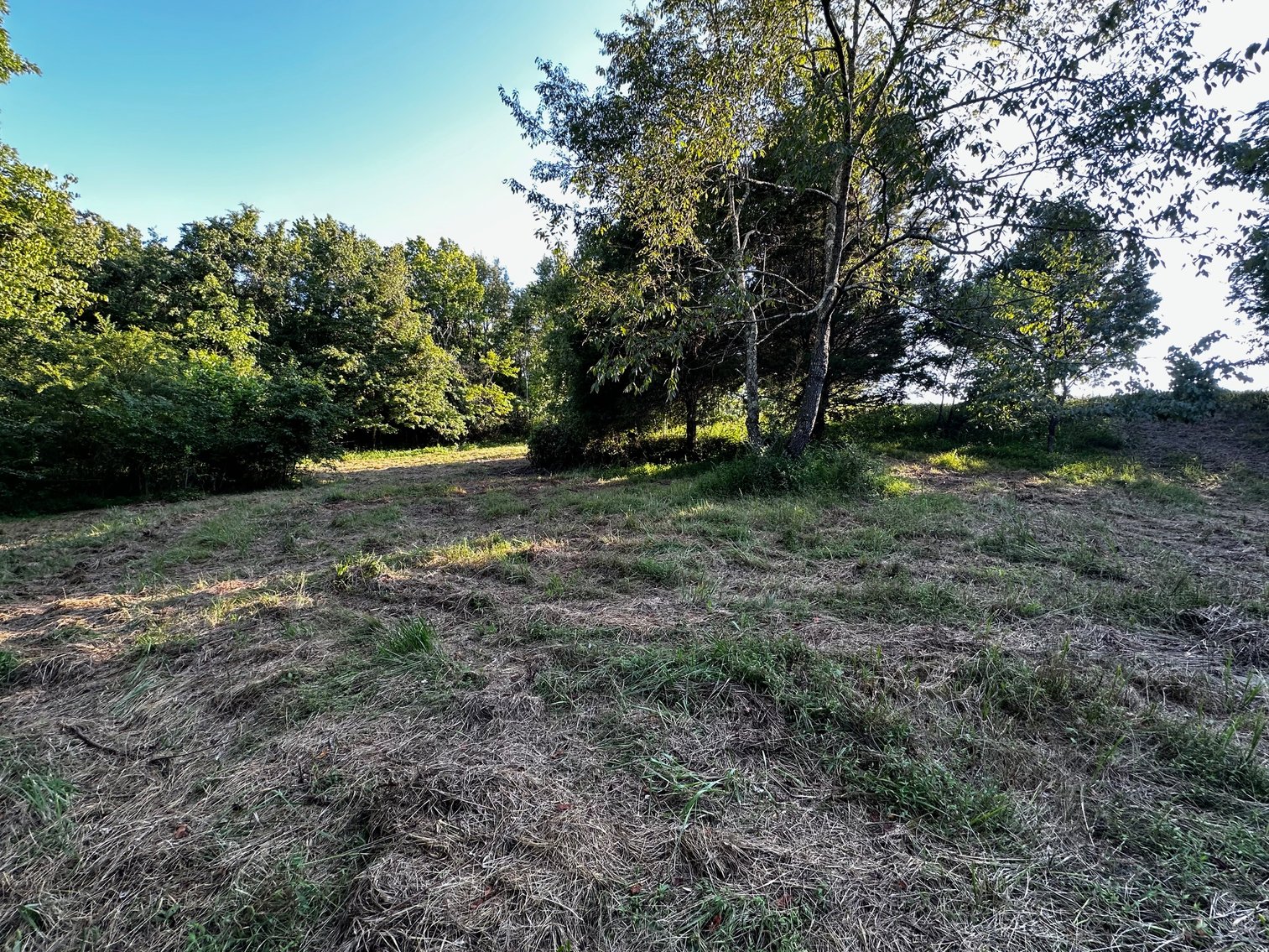Image for 430 Bard Lane・Greenville
