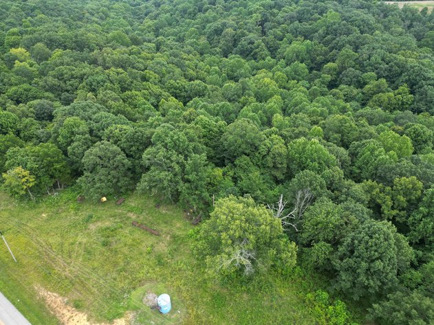 Image for 14.8 +/- Acres・Highway 189・White Plains