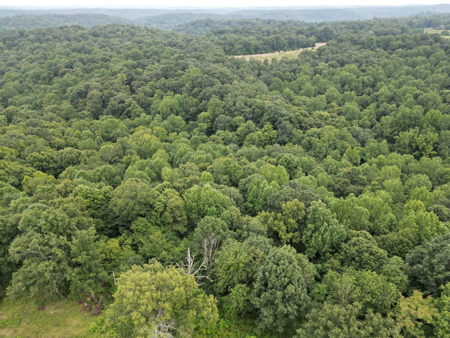 Image for 14.8 +/- Acres・Highway 189・White Plains