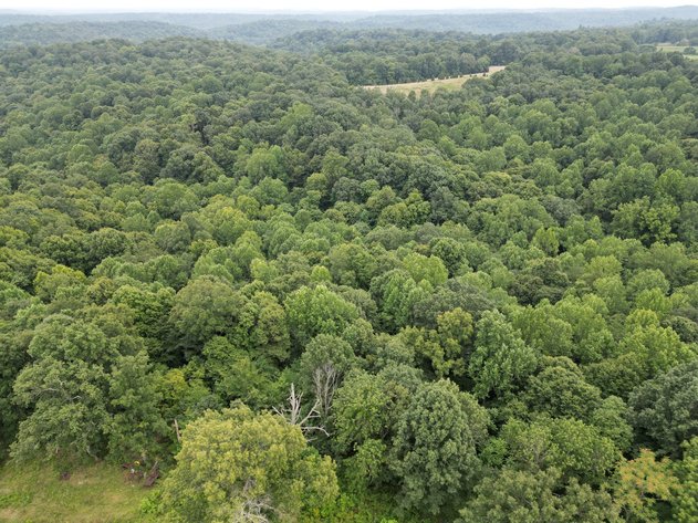 Image for 14.8 +/- Acres・Highway 189・White Plains