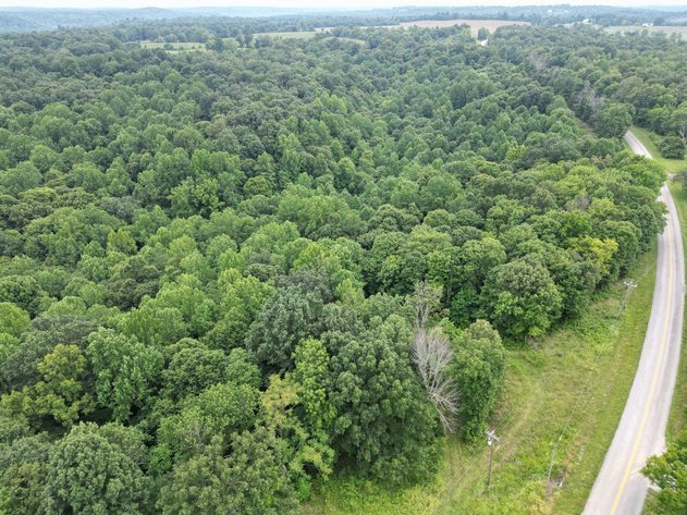 Image for 14.8 +/- Acres・Highway 189・White Plains