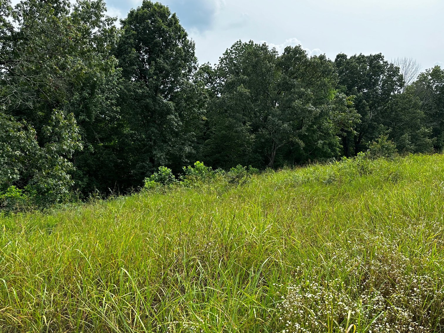 Image for 14.8 +/- Acres・Highway 189・White Plains