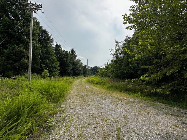 Image for 34.198 +/- Acres・Coal Creek Road・Hopkinsville・KY