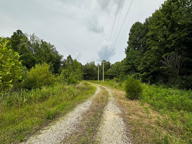 Image for 34.198 +/- Acres・Coal Creek Road・Hopkinsville・KY