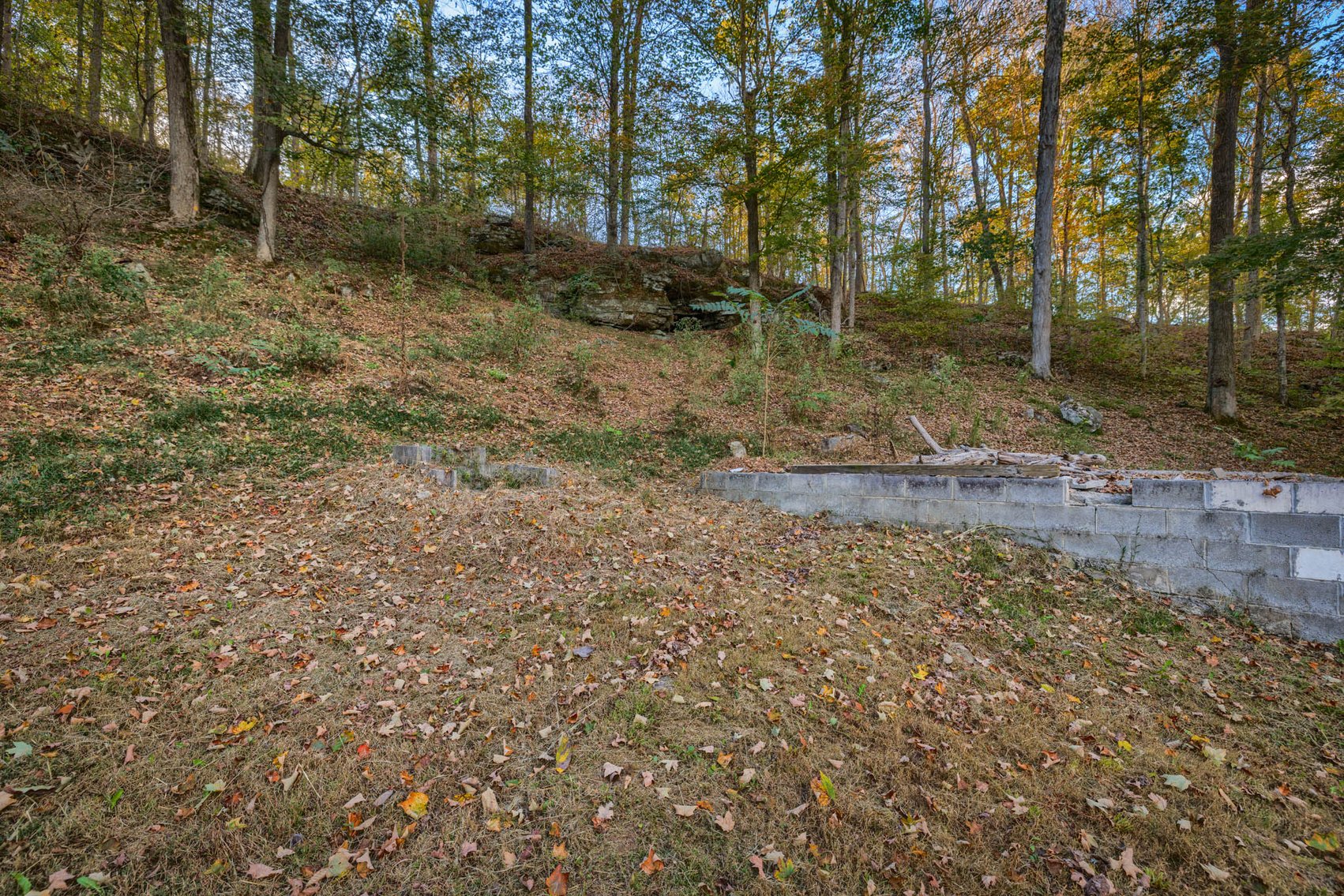 Image for 545 Shady Cliff Road・Lewisburg