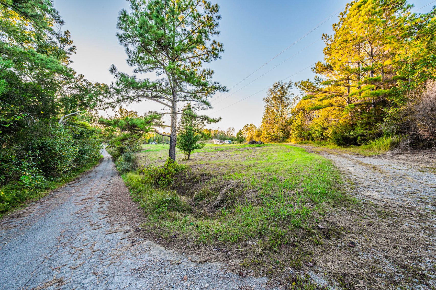 Image for 4 Tracts・Pallet Mill Road・Greenville