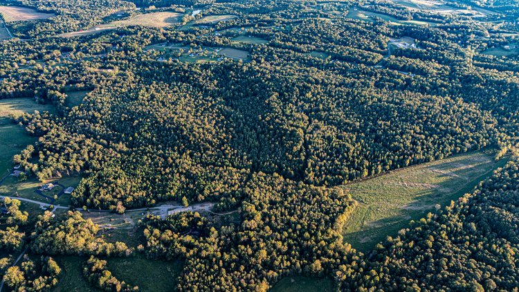 Image for 4 Tracts・Pallet Mill Road・Greenville