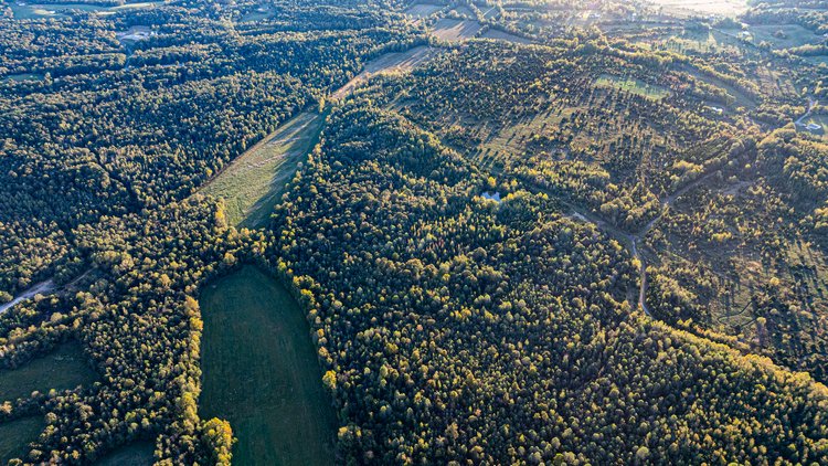 Image for 4 Tracts・Pallet Mill Road・Greenville