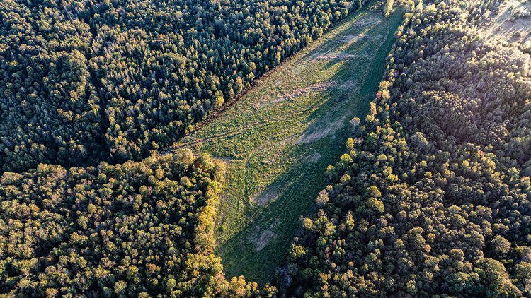 Image for 4 Tracts・Pallet Mill Road・Greenville