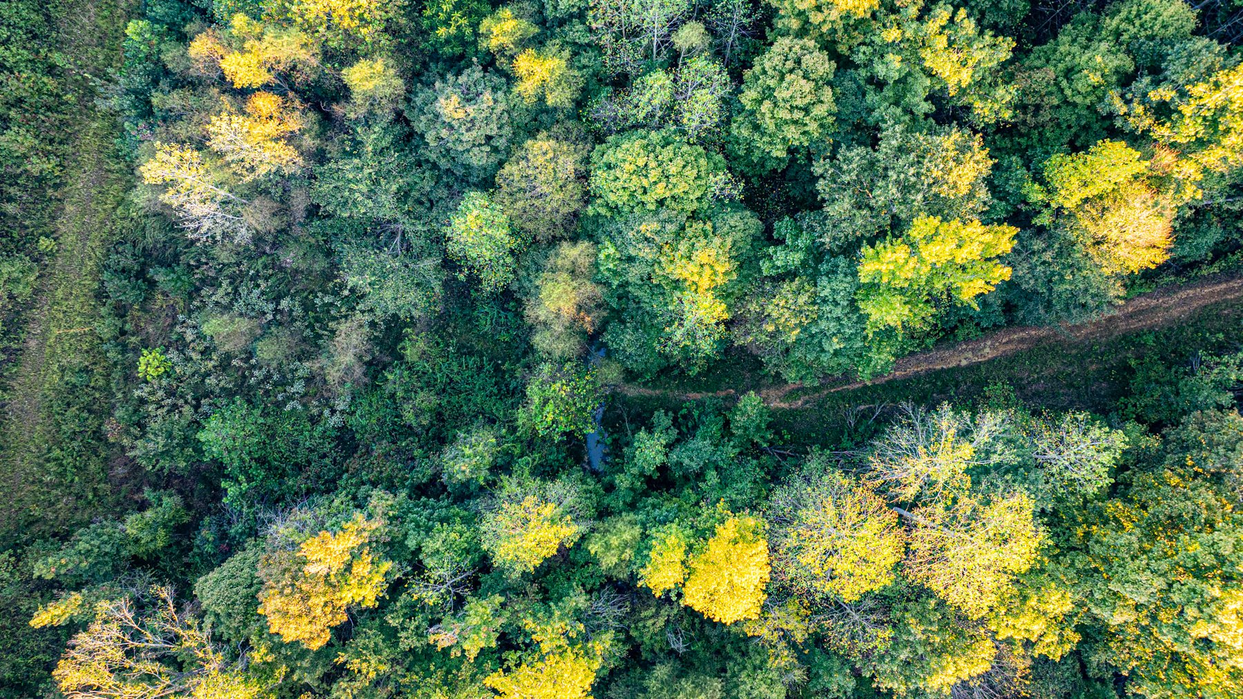 Image for 4 Tracts・Pallet Mill Road・Greenville