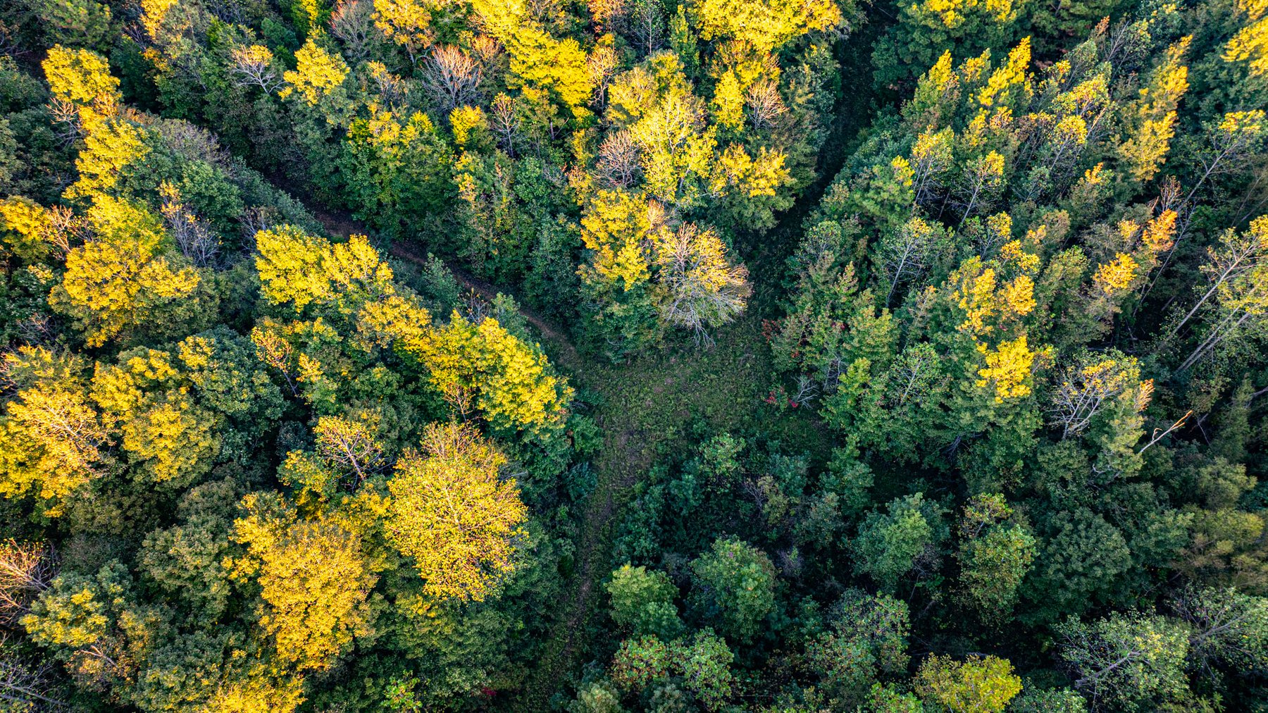 Image for 4 Tracts・Pallet Mill Road・Greenville