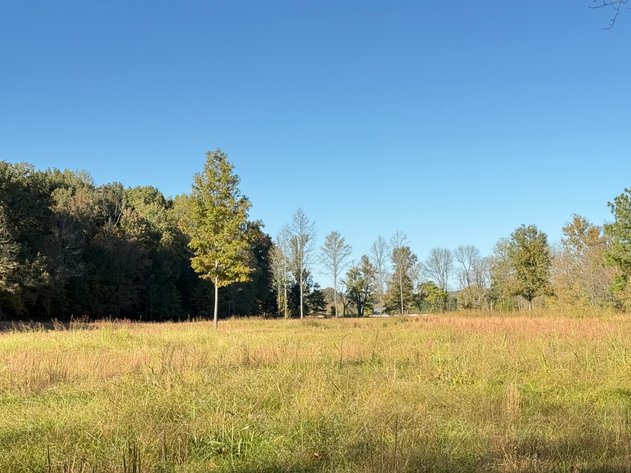 Image for State Route 176・Greenville