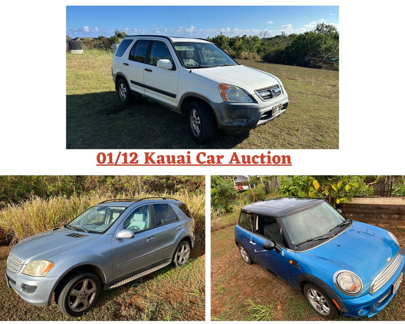 Image for 01/12 Kauai Car Auction