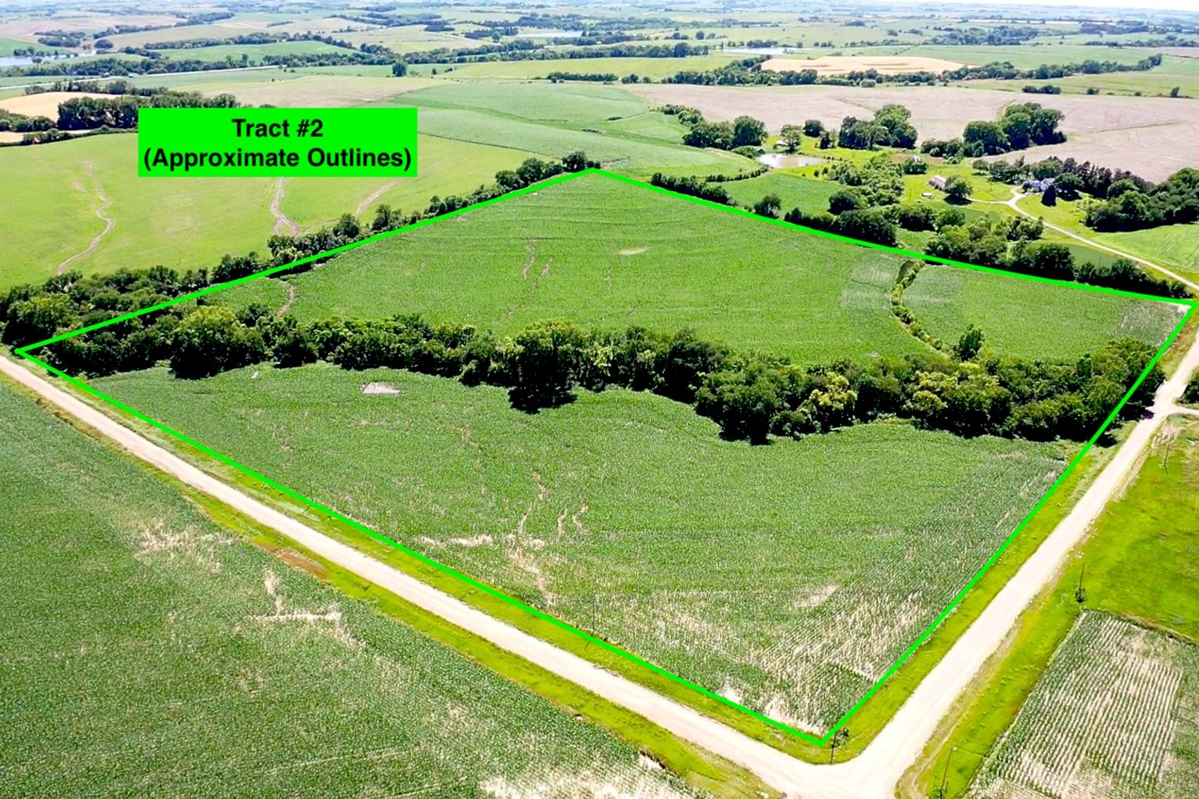 Image for Top Producing West Central Saunders County Farmland No Reserve Estate Auction