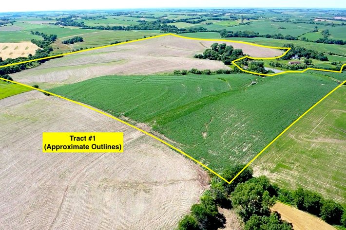 Image for Top Producing West Central Saunders County Farmland No Reserve Estate Auction