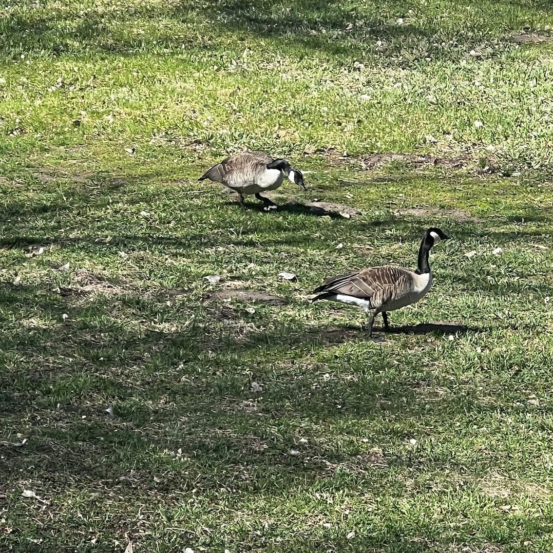 Image for Lakeview 2 Story 5 Bedroom Home Selling at LIVE Auction