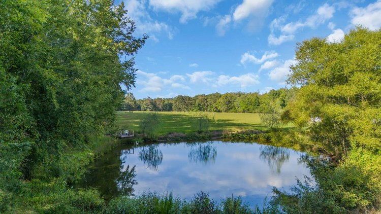 Image for AT AUCTION ONSITE & SIMULCAST SATURDAY OCTOBER 4TH, 2025 10:01am (CDT) 1117 ESSIE CLEEK Rd. TULLAHOMA, TN 37388