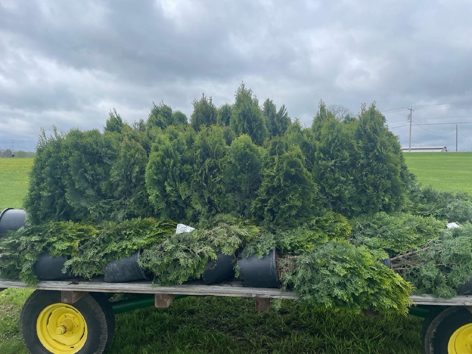 Image for Spring Lawn & Garden Consignment Auction - Live Event