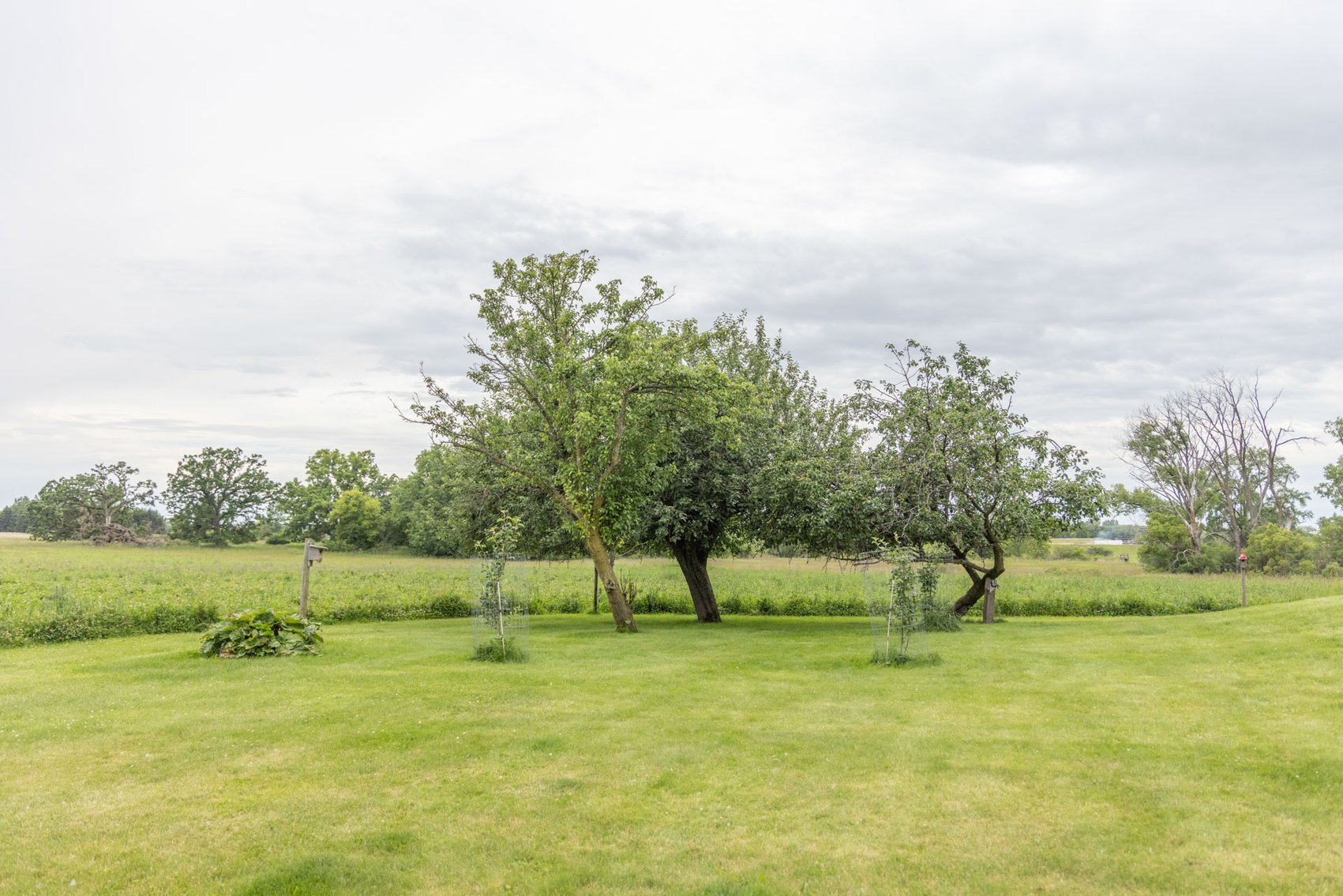 Image for 65 acre Hunting Land & Private Retreat, Fox Lake, WI