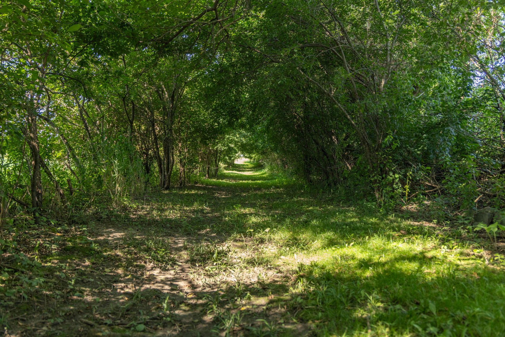 Image for 42 acre Hobby Farm plus 3 acre Buildable Lot For Sale by Online Bidding