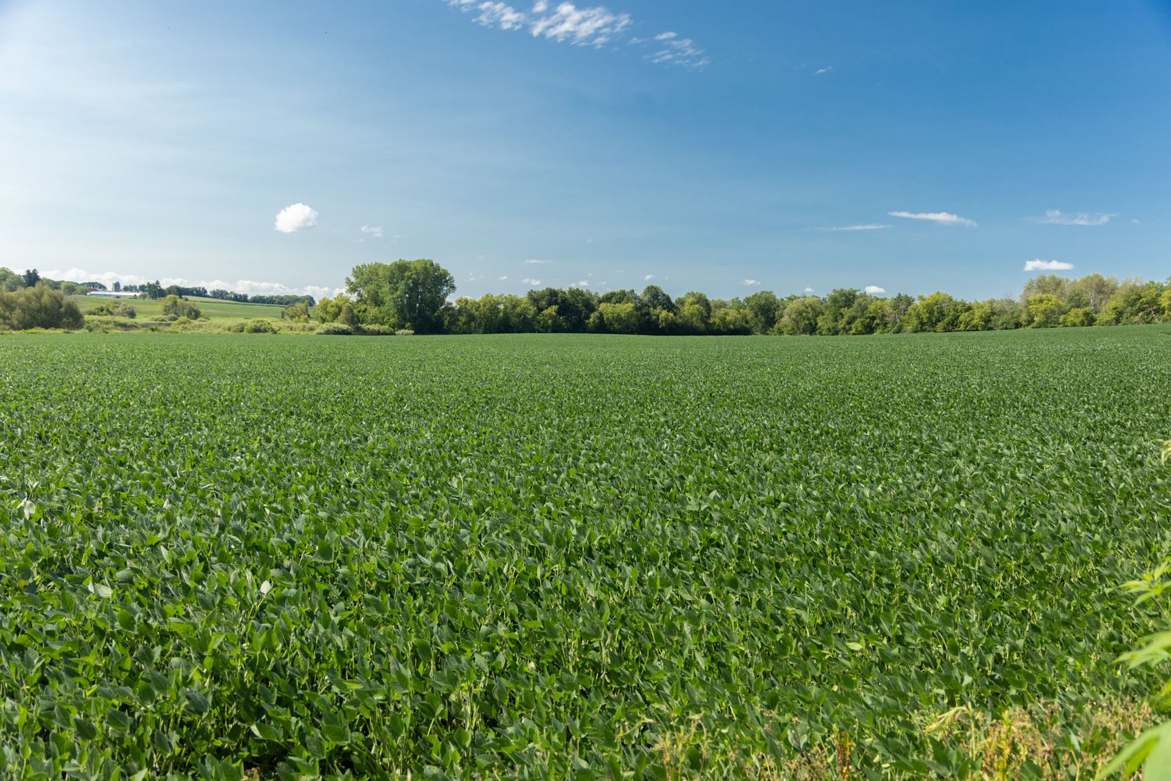 Image for 42 acre Hobby Farm plus 3 acre Buildable Lot For Sale by Online Bidding