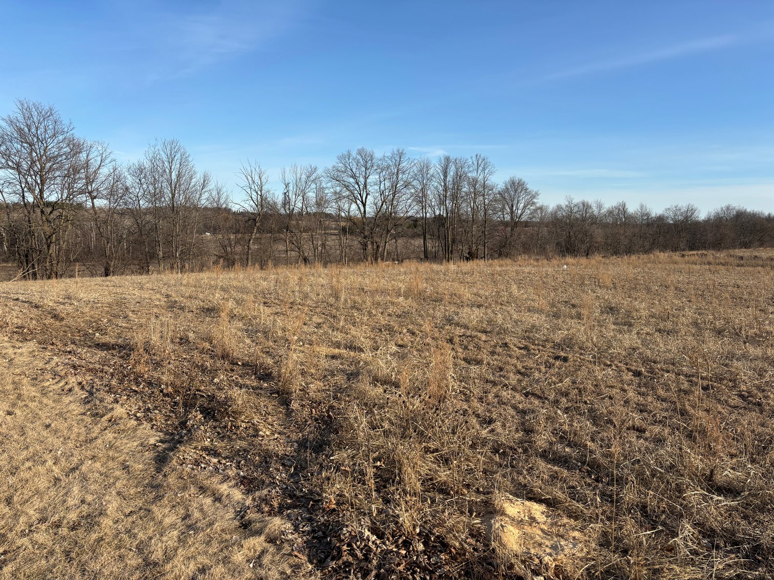 Image for 13 Acre COUNTRY ESTATE For Sale by Online Bidding