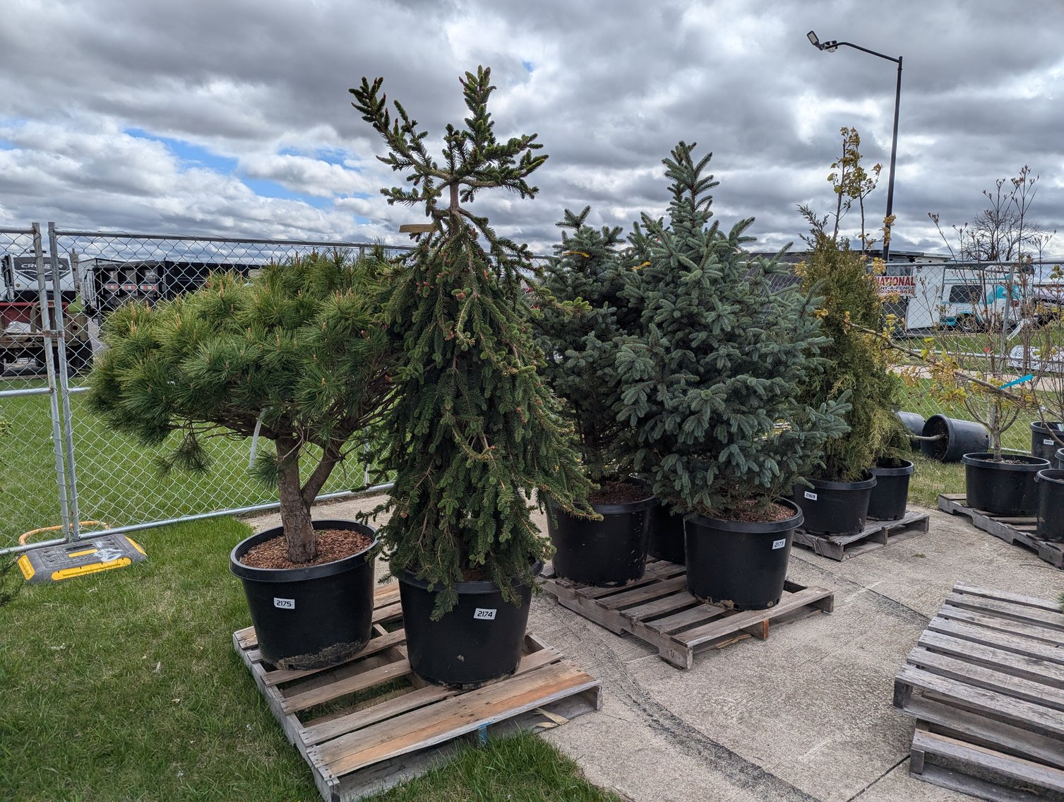 Image for Day 2 - 27th Annual Spring Lawn & Garden Online Consignment Auction