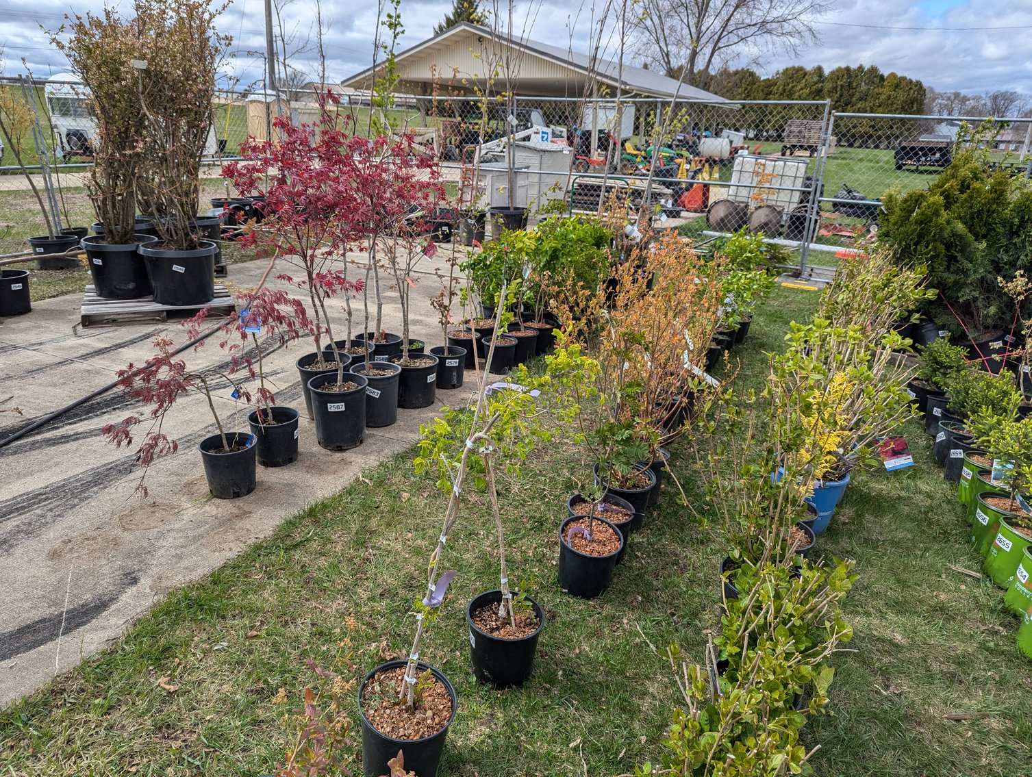 Image for Day 2 - 27th Annual Spring Lawn & Garden Online Consignment Auction