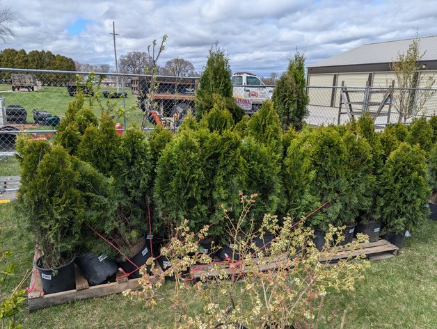 Image for Day 2 - 27th Annual Spring Lawn & Garden Online Consignment Auction