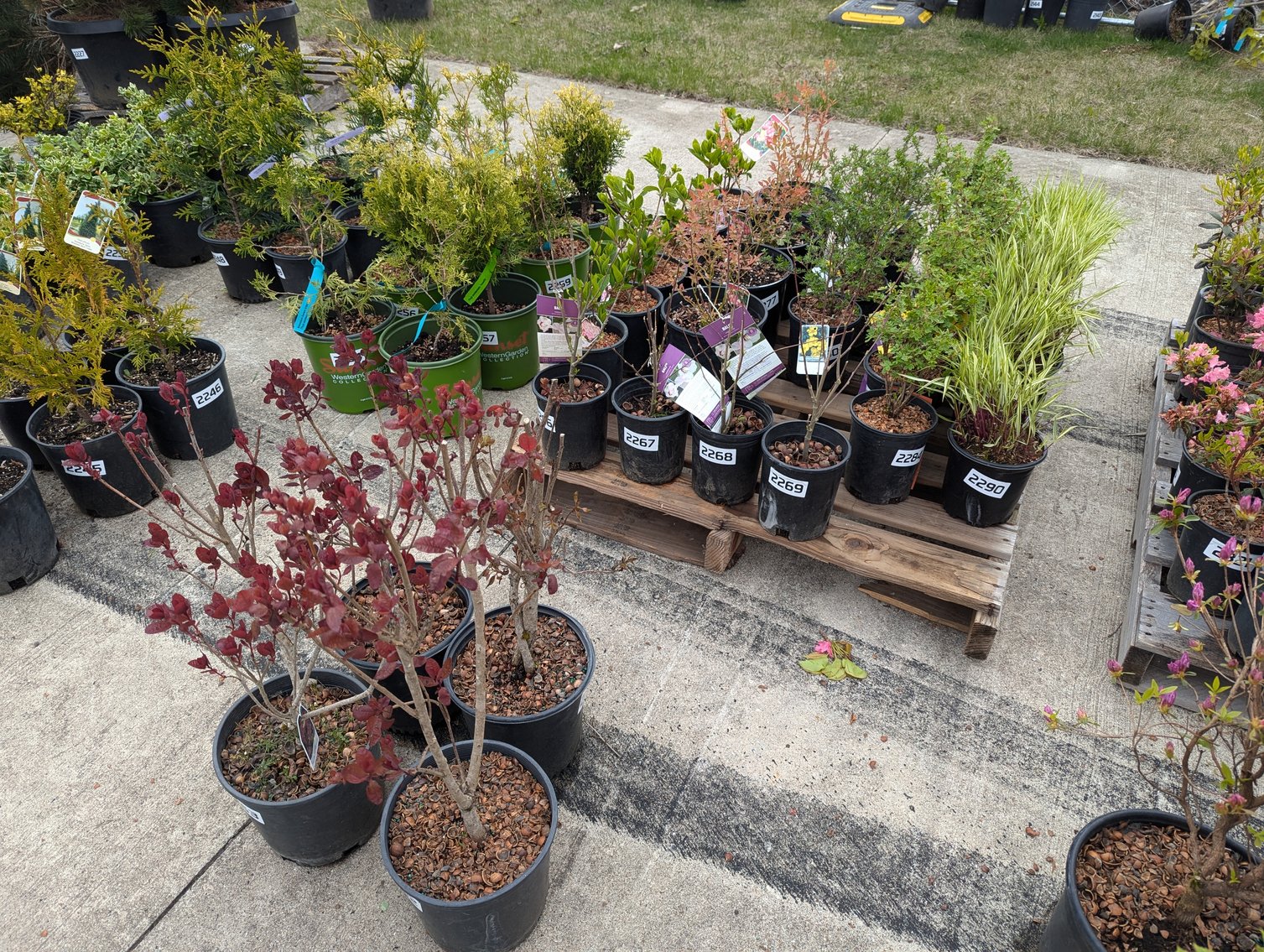 Image for Day 2 - 27th Annual Spring Lawn & Garden Online Consignment Auction