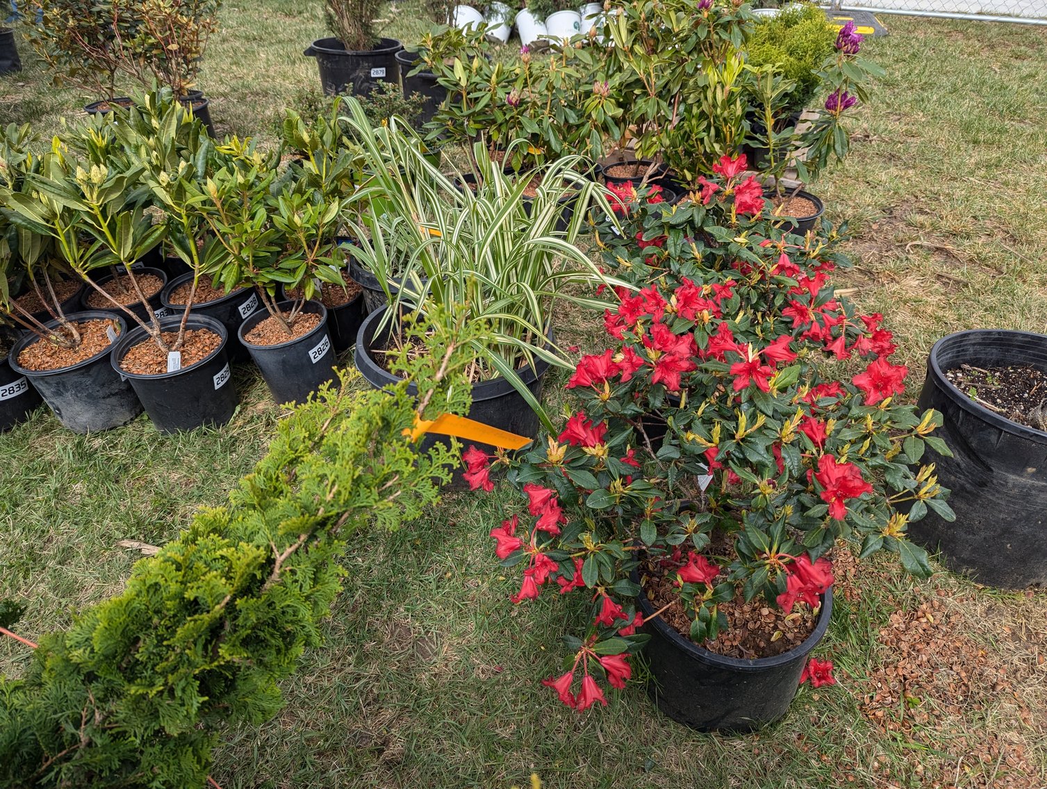 Image for Day 2 - 27th Annual Spring Lawn & Garden Online Consignment Auction