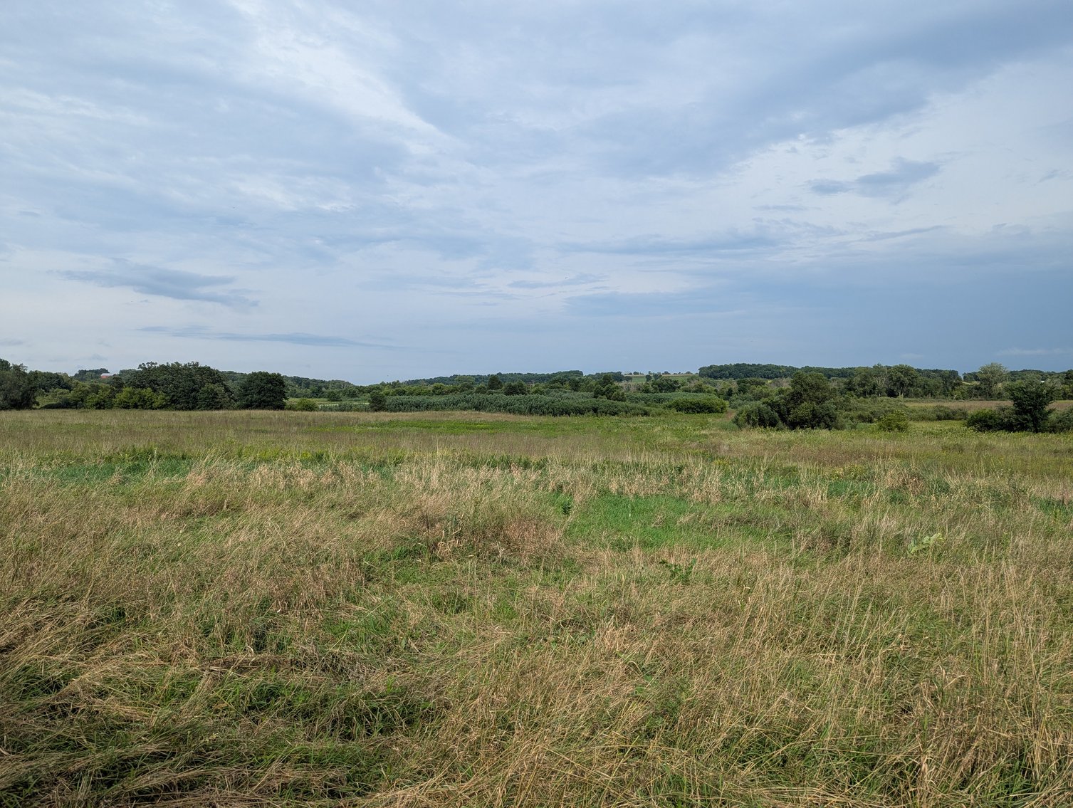 Image for 136.5 Acre Farm in Waterloo/Jefferson County