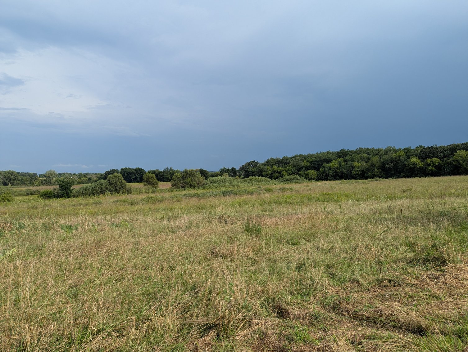 Image for 136.5 Acre Farm in Waterloo/Jefferson County