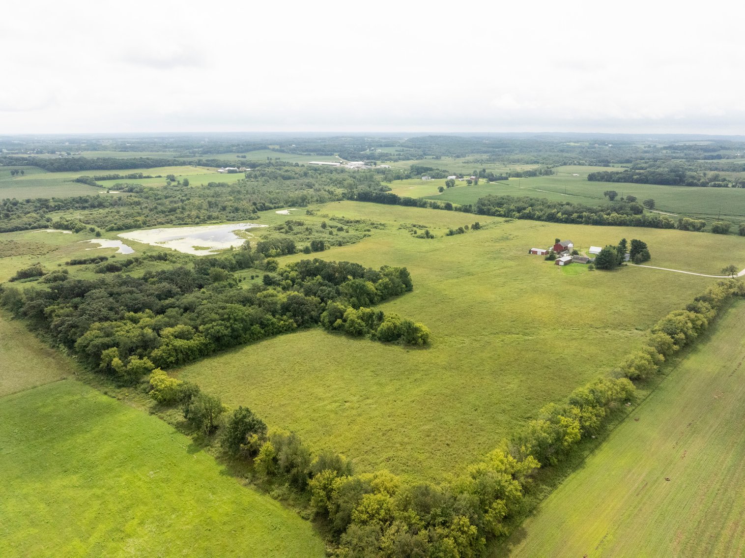 Image for 136.5 Acre Farm in Waterloo/Jefferson County