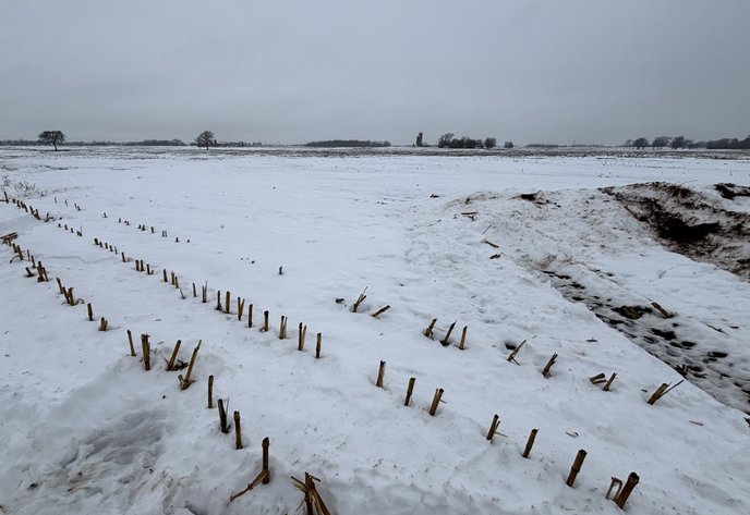 Image for Van Dyne Area 38-Acre Farm - Online Bidding