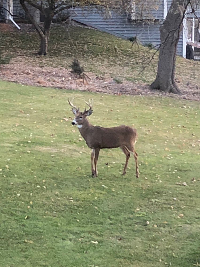 Image for 520  and 521 Rockview Ct Watertown