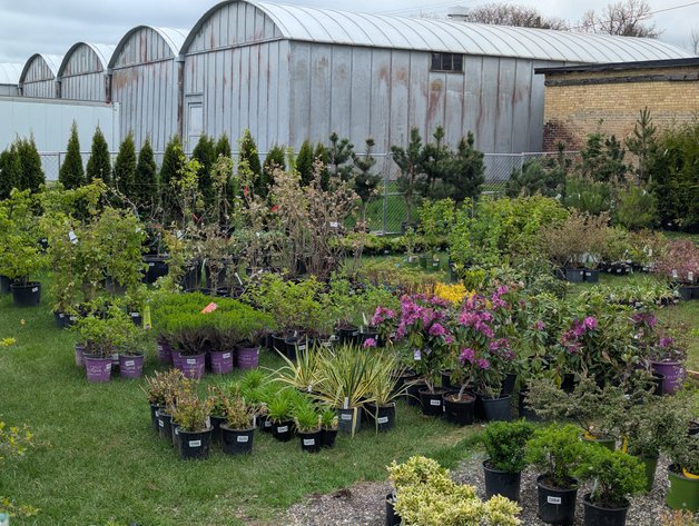 Image for Day 1 - 28th Annual Spring Lawn & Garden Online Consignment Auction