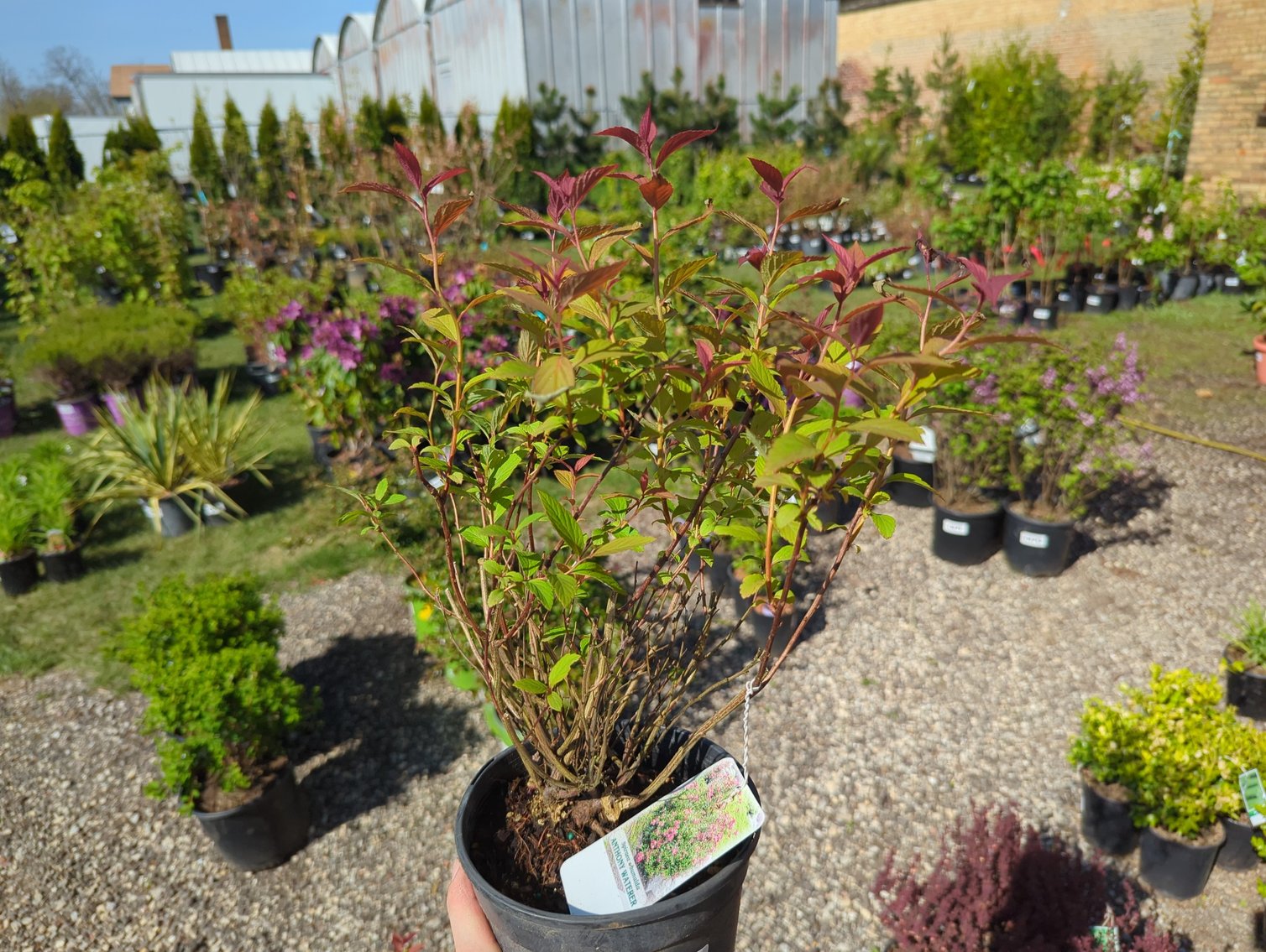 Image for Day 1 - 28th Annual Spring Lawn & Garden Online Consignment Auction