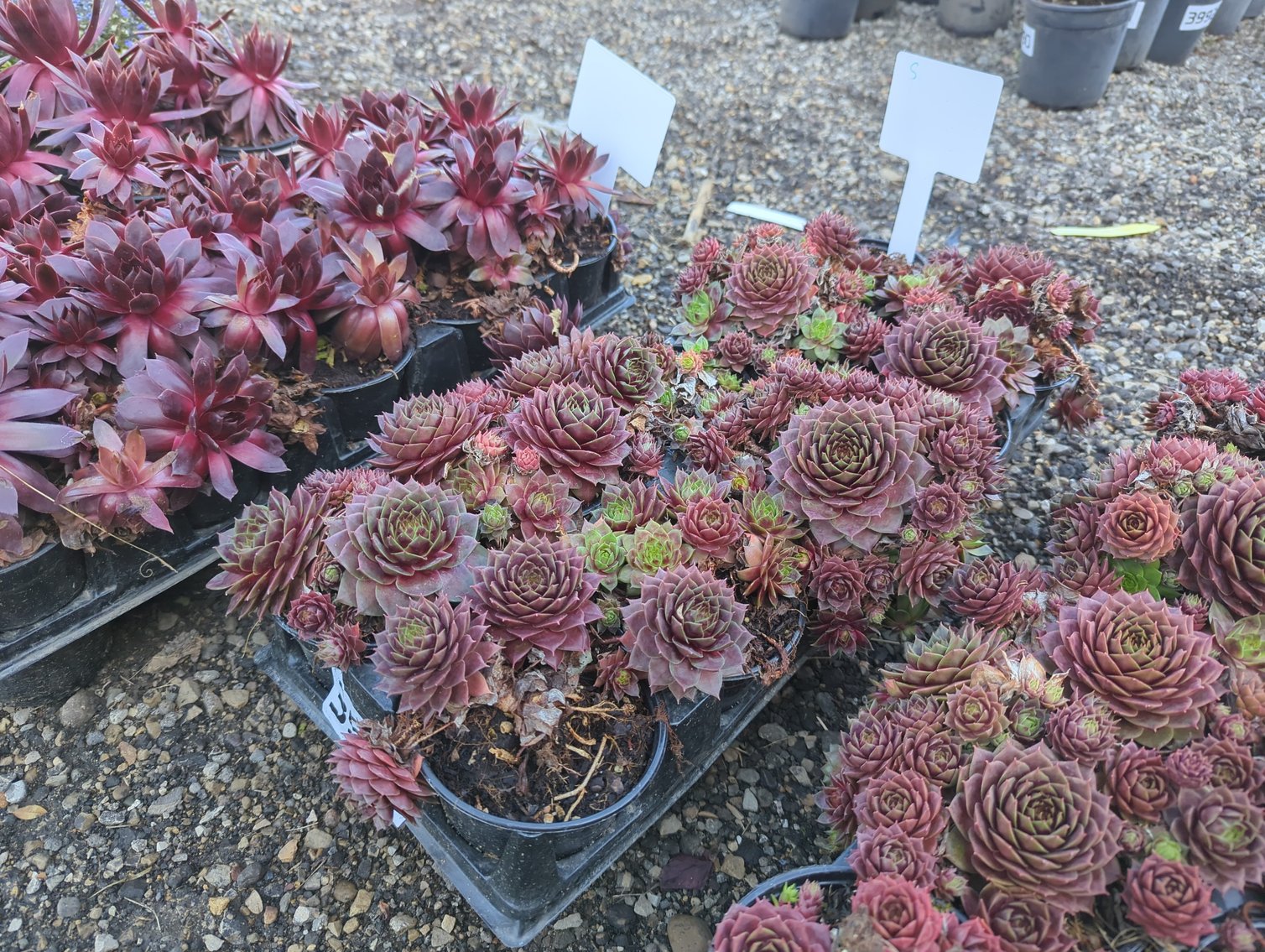 Image for Day 1 - 28th Annual Spring Lawn & Garden Online Consignment Auction