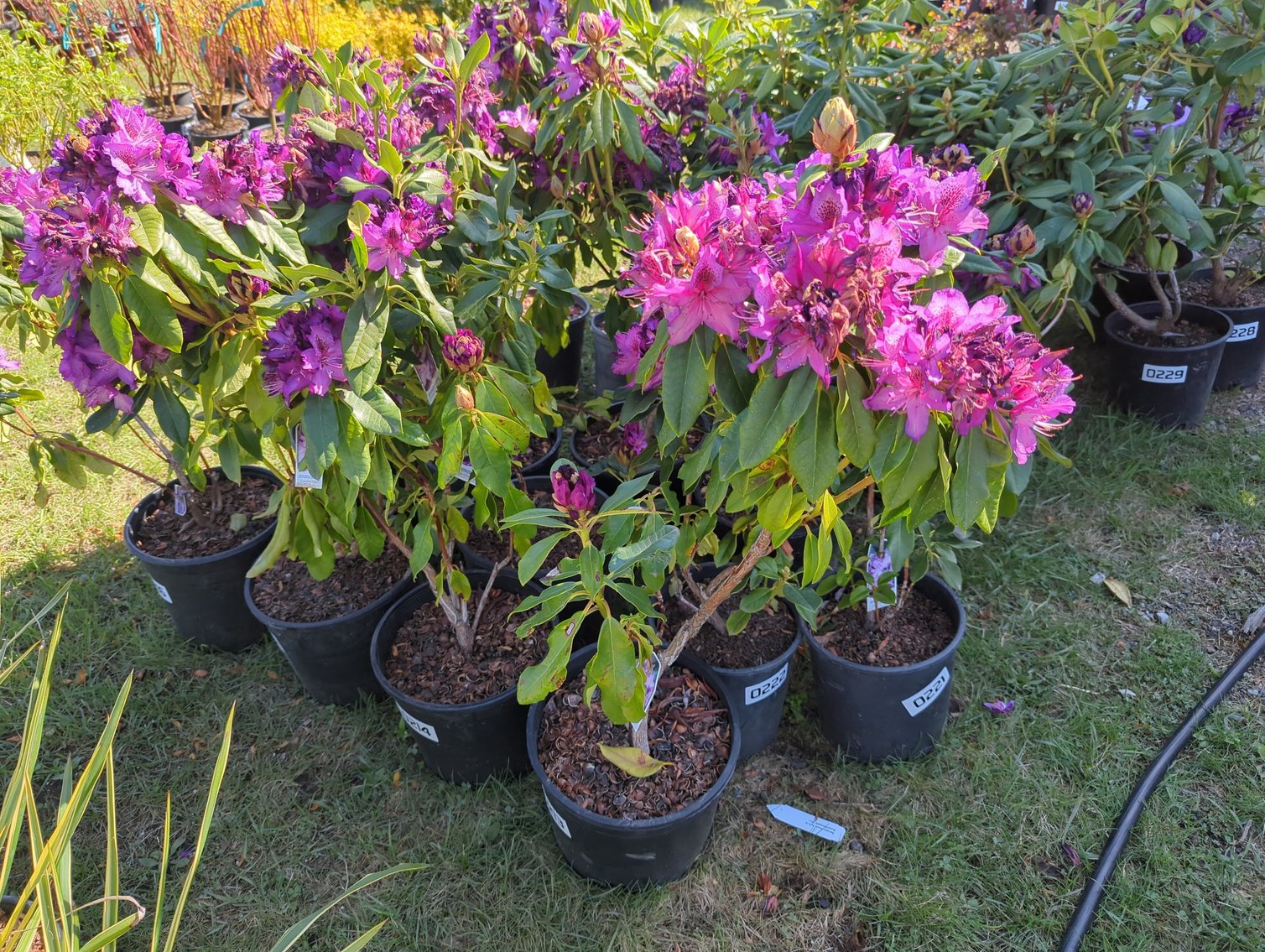 Image for Day 1 - 28th Annual Spring Lawn & Garden Online Consignment Auction