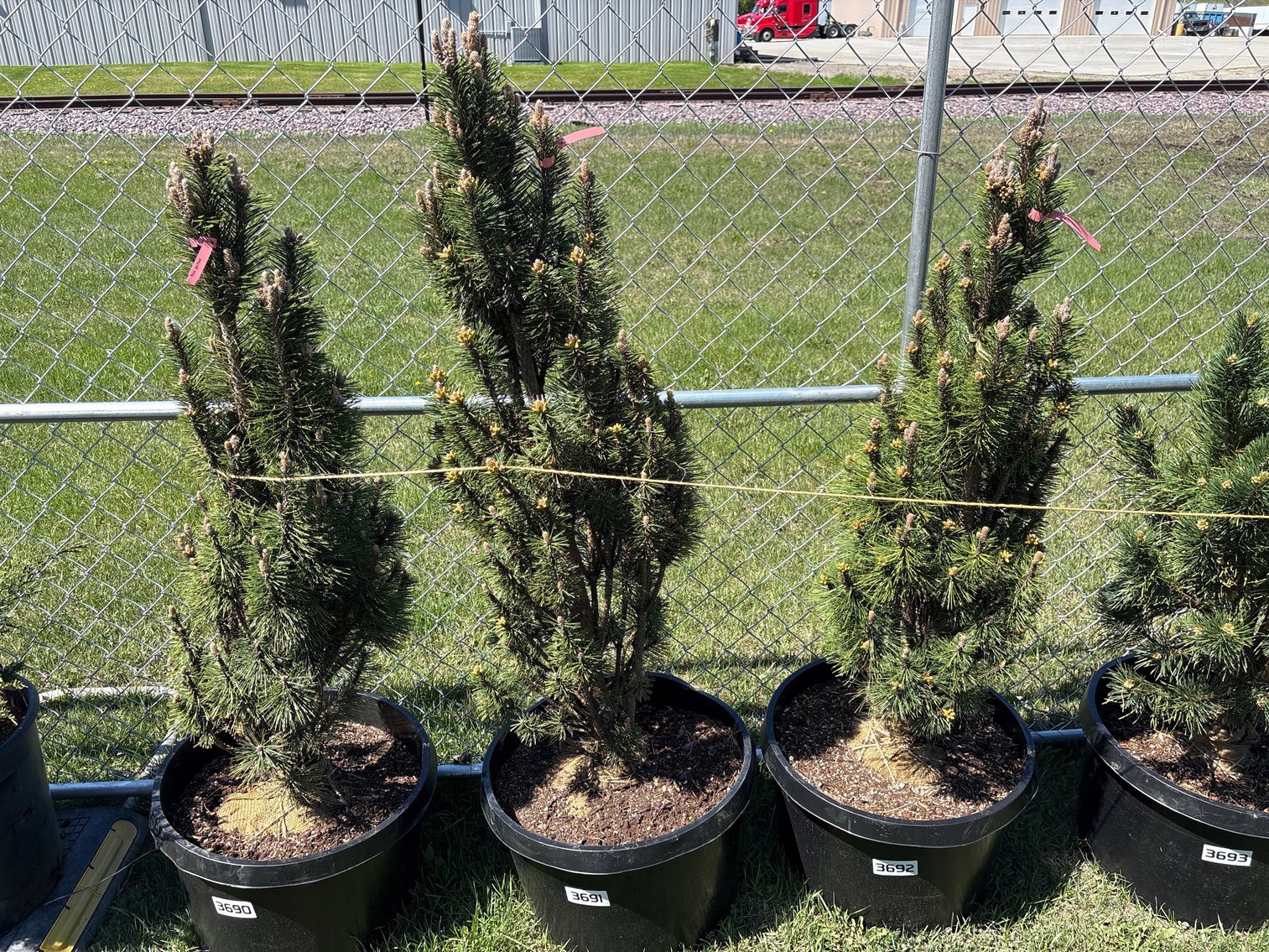 Image for Day 1 - 28th Annual Spring Lawn & Garden Online Consignment Auction