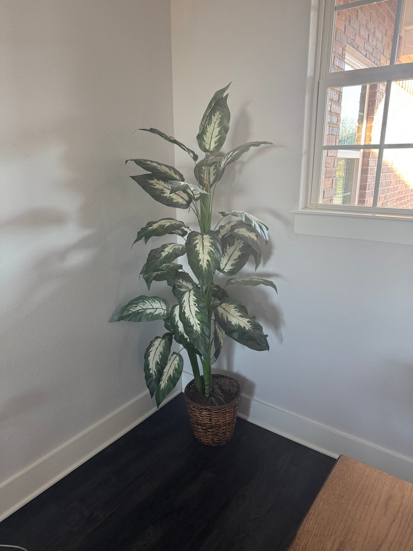 Image for Lorena, TX Real Estate & Contents Auction – Personal Property