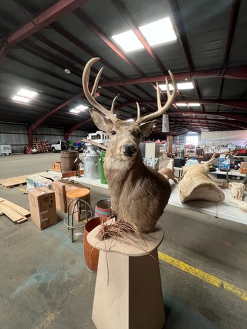 Image for September 2024 Online Only Auction