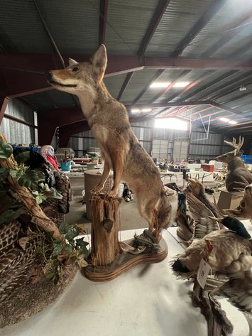 Image for September 2024 Online Only Auction