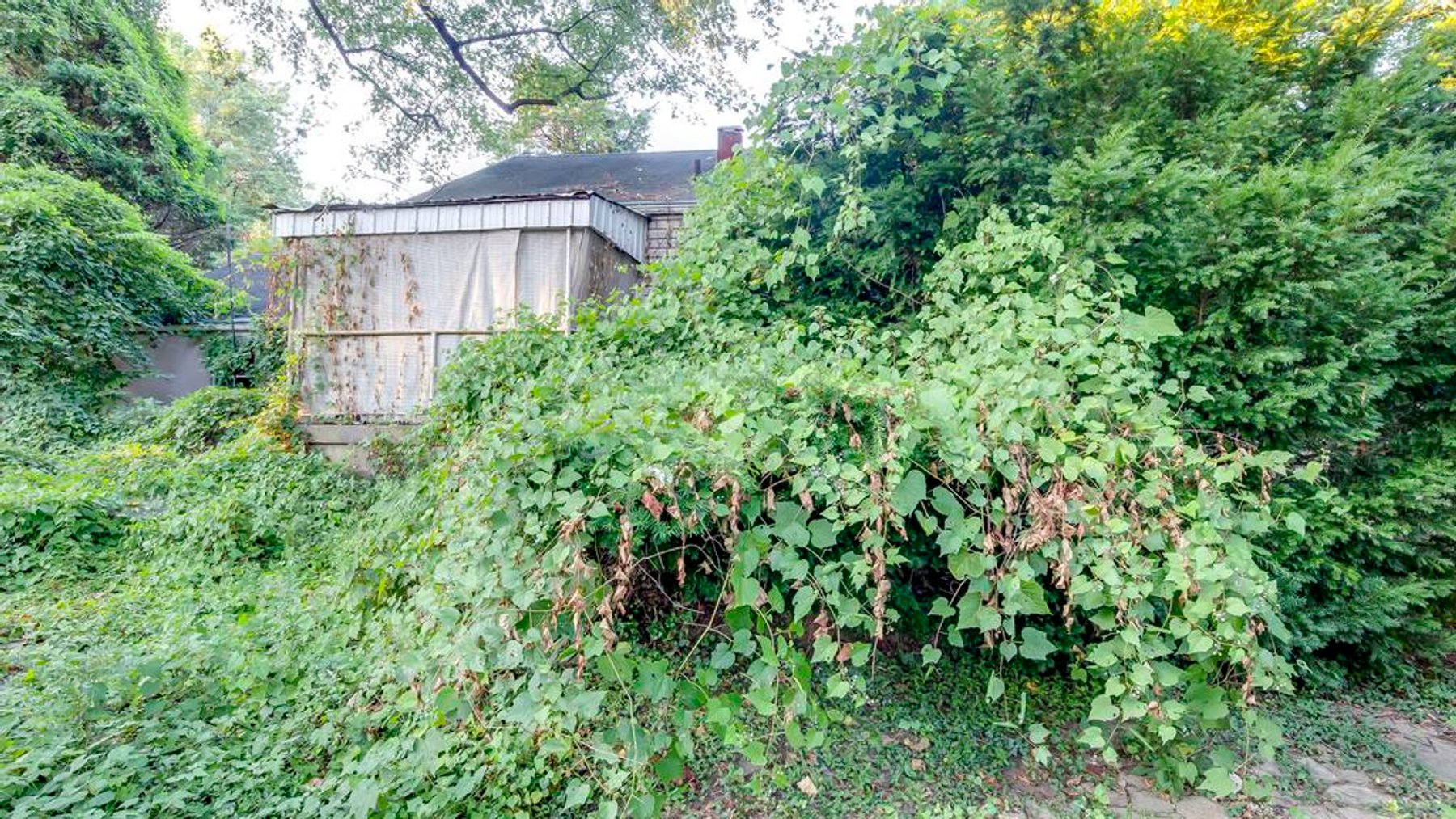 Image for 19 Kenil Ct-Clifton Heights Area