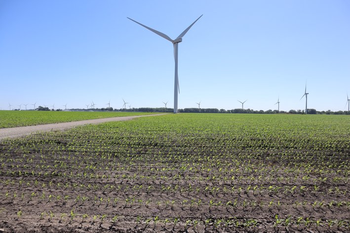 Image for Higgins Family Farm LLC