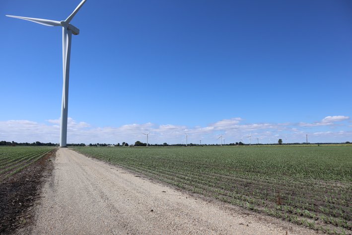 Image for Higgins Family Farm LLC