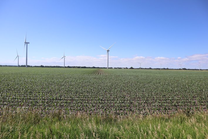 Image for Higgins Family Farm LLC