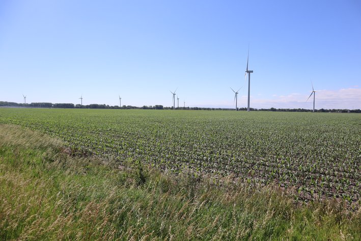 Image for Higgins Family Farm LLC